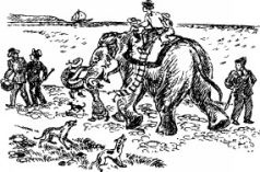 Иллюстрация к книге — Рози - моя родня [pic40.jpg]