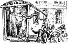 Иллюстрация к книге — Рози - моя родня [pic5.jpg]