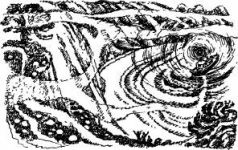 Иллюстрация к книге — Филе из палтуса [pic4.jpg]