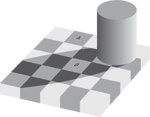 Иллюстрация к книге — Мозг и сознание [i_002.jpg]