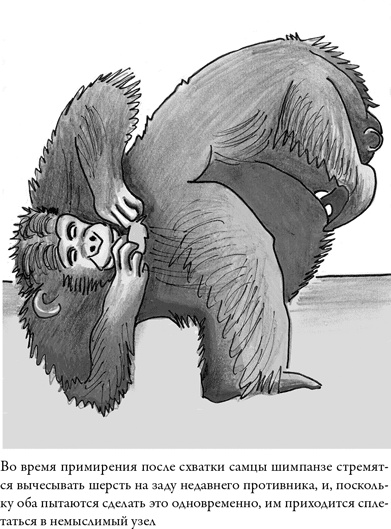 Иллюстрация к книге — Последнее объятие Мамы [i_002.jpg]