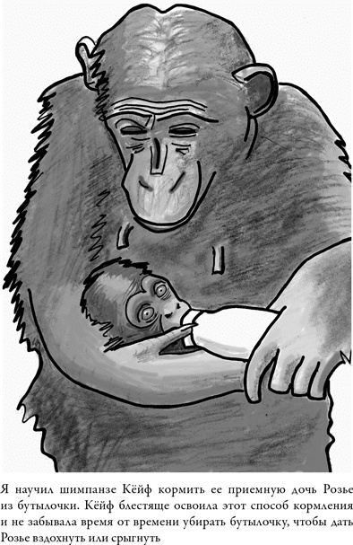 Иллюстрация к книге — Последнее объятие Мамы [i_004.jpg]