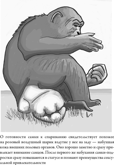 Иллюстрация к книге — Последнее объятие Мамы [i_005.jpg]