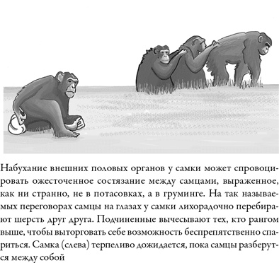 Иллюстрация к книге — Последнее объятие Мамы [i_006.jpg]