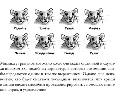 Иллюстрация к книге — Последнее объятие Мамы [i_007.jpg]