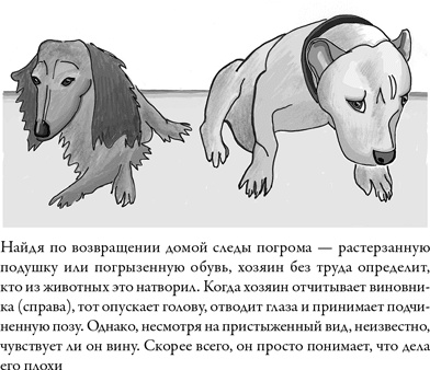 Иллюстрация к книге — Последнее объятие Мамы [i_016.jpg]