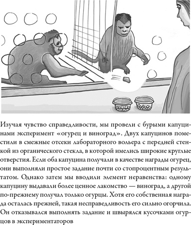 Иллюстрация к книге — Последнее объятие Мамы [i_021.jpg]