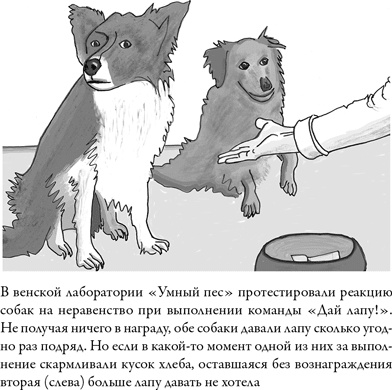 Иллюстрация к книге — Последнее объятие Мамы [i_022.jpg]