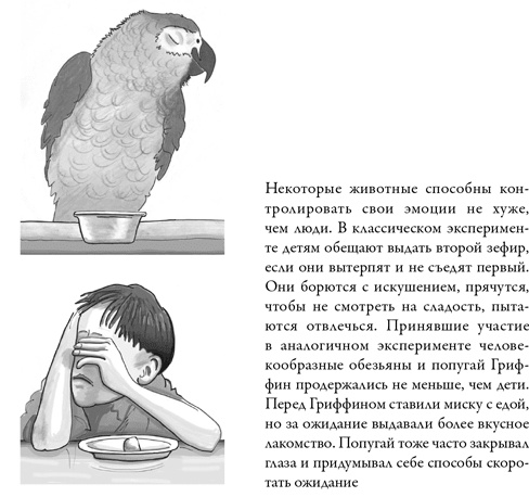 Иллюстрация к книге — Последнее объятие Мамы [i_023.jpg]