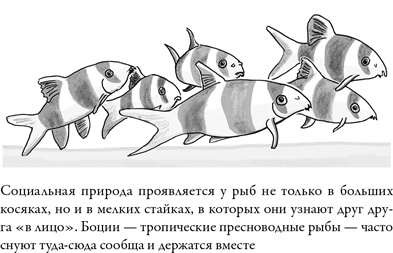 Иллюстрация к книге — Последнее объятие Мамы [i_026.jpg]