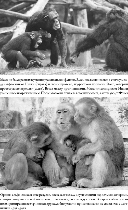 Иллюстрация к книге — Последнее объятие Мамы [i_029.jpg]