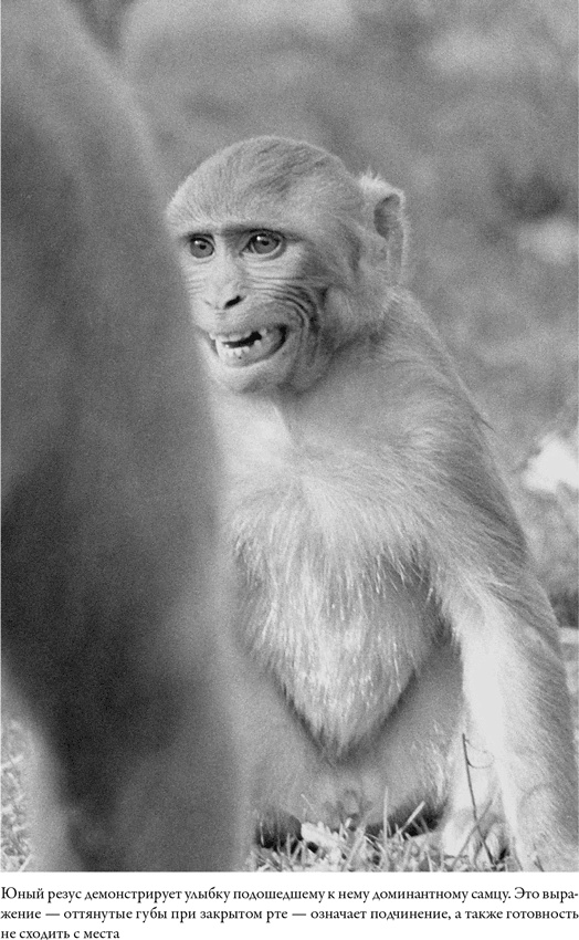 Иллюстрация к книге — Последнее объятие Мамы [i_030.jpg]