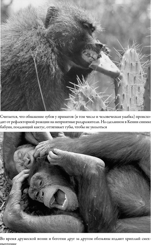 Иллюстрация к книге — Последнее объятие Мамы [i_033.jpg]