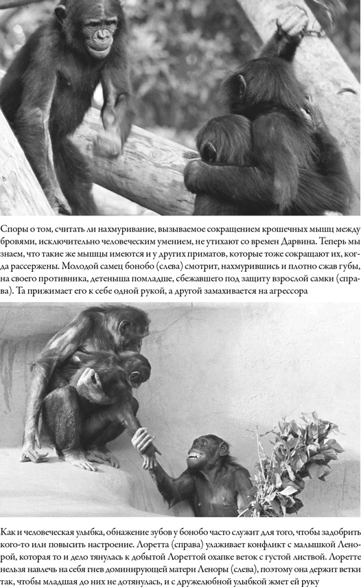 Иллюстрация к книге — Последнее объятие Мамы [i_034.jpg]