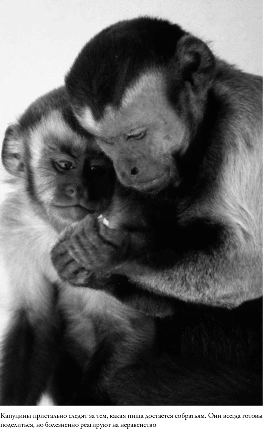 Иллюстрация к книге — Последнее объятие Мамы [i_037.jpg]