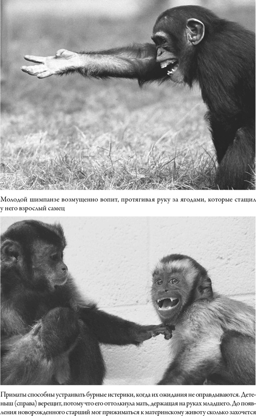 Иллюстрация к книге — Последнее объятие Мамы [i_038.jpg]