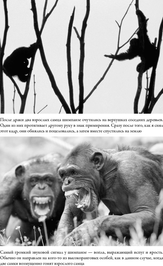 Иллюстрация к книге — Последнее объятие Мамы [i_041.jpg]