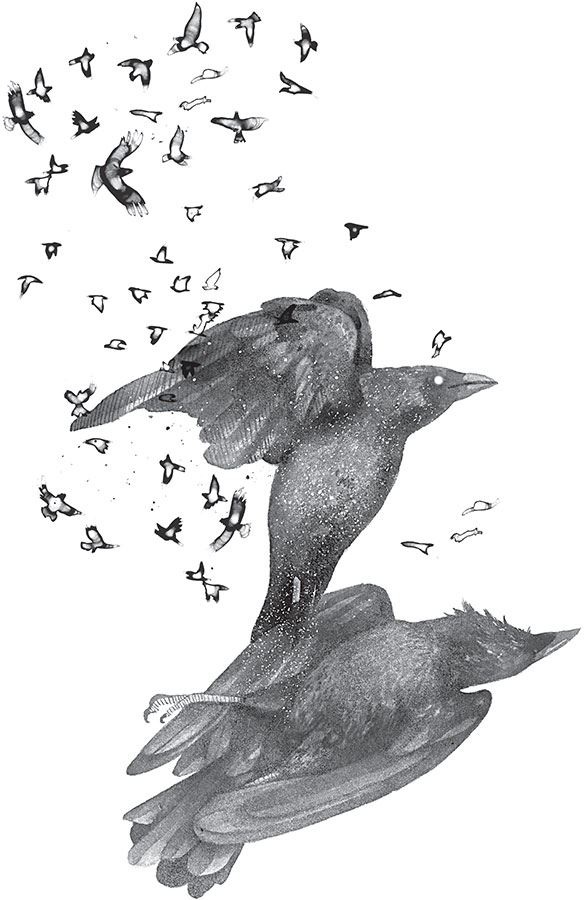 Иллюстрация к книге — Ка: Дарр Дубраули в руинах Имра [i_003.jpg]