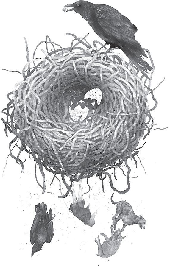 Иллюстрация к книге — Ка: Дарр Дубраули в руинах Имра [i_004.jpg]