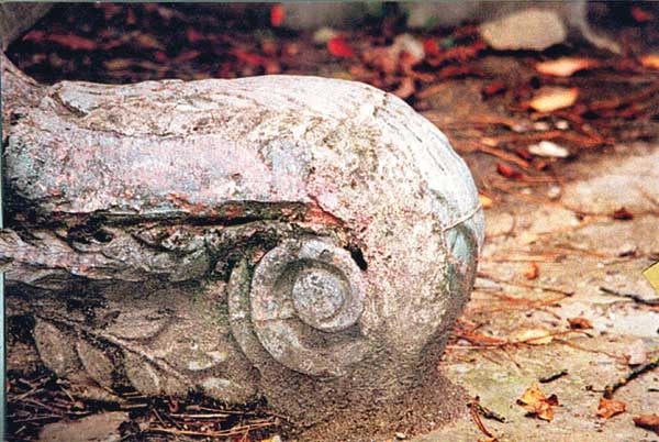 Иллюстрация к книге — Мужские откровения [i_030.jpg]