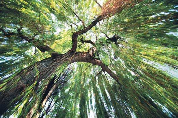 Иллюстрация к книге — Мужские откровения [i_036.jpg]