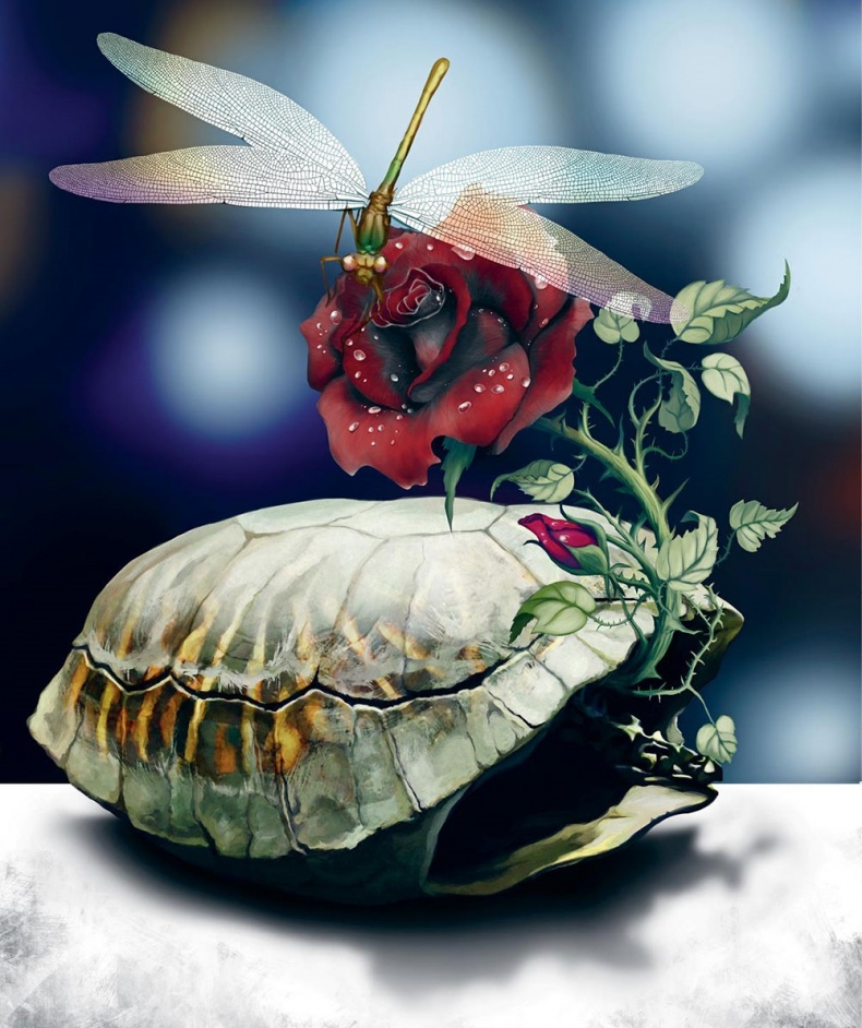 Иллюстрация к книге — Сулажин [i_017.jpg]