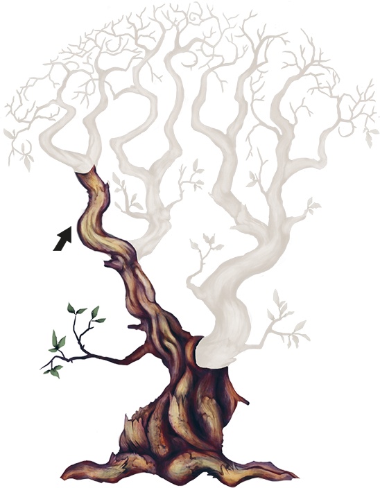 Иллюстрация к книге — Сулажин [i_021.jpg]