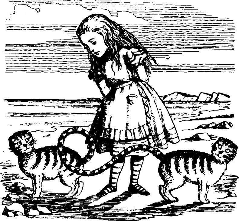 Иллюстрация к книге — Алиса в Заиголье [i_004.jpg]