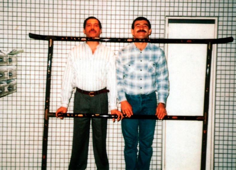 Иллюстрация к книге — Меркьюри и я. Богемская рапсодия, любовь и котики [i_016.jpg]