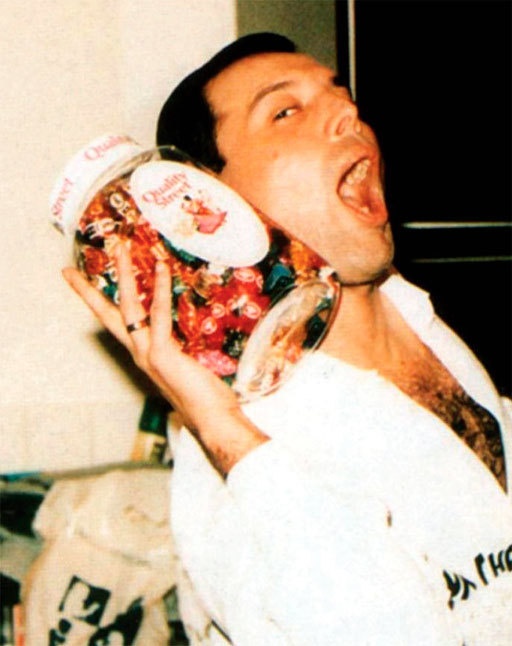 Иллюстрация к книге — Меркьюри и я. Богемская рапсодия, любовь и котики [i_021.jpg]