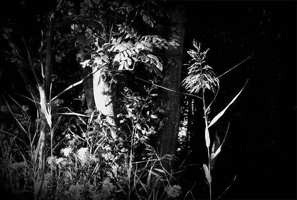 Иллюстрация к книге — Все сказки старого Вильнюса. Продолжение [i_011.jpg]