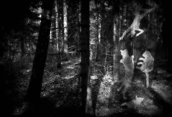 Иллюстрация к книге — Все сказки старого Вильнюса. Продолжение [i_020.jpg]