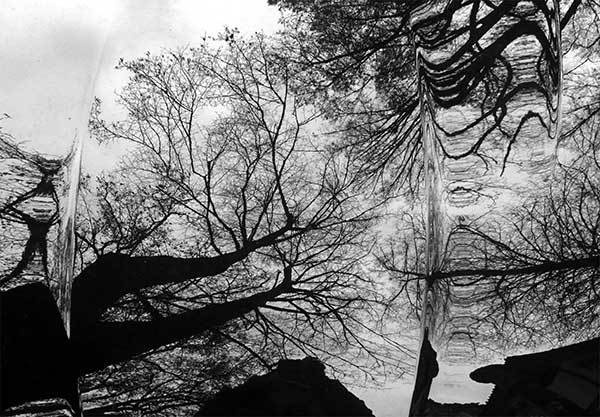 Иллюстрация к книге — Все сказки старого Вильнюса. Продолжение [i_024.jpg]