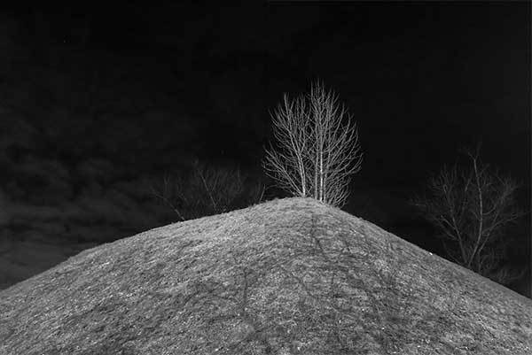 Иллюстрация к книге — Все сказки старого Вильнюса. Продолжение [i_029.jpg]