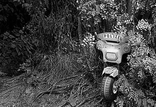 Иллюстрация к книге — Все сказки старого Вильнюса. Продолжение [i_042.jpg]