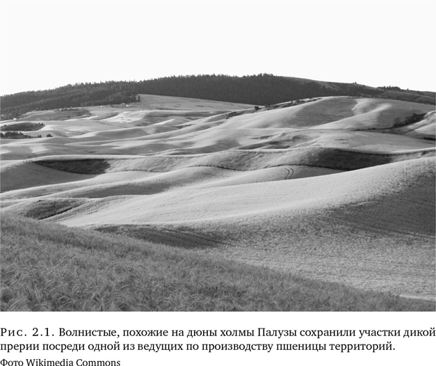 Иллюстрация к книге — Триумф семян [i_007.jpg]