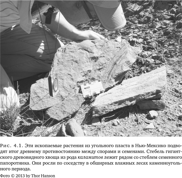 Иллюстрация к книге — Триумф семян [i_012.jpg]