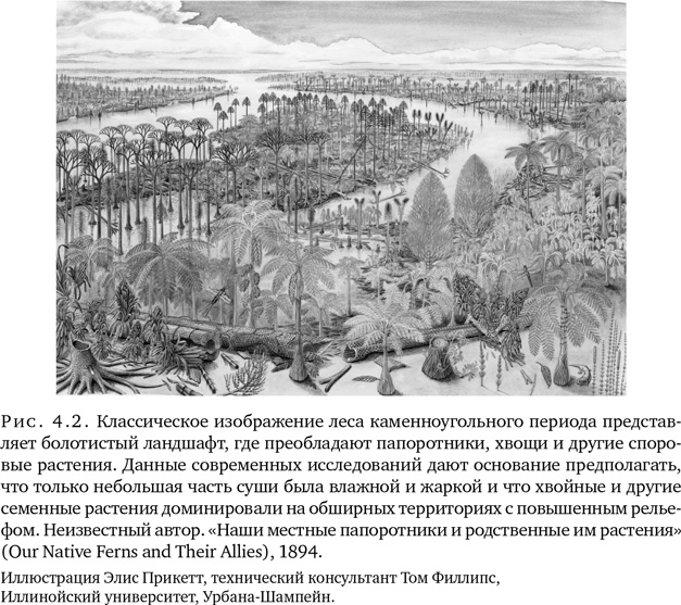 Иллюстрация к книге — Триумф семян [i_013.jpg]