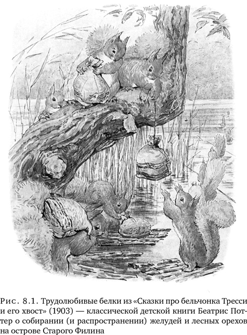 Иллюстрация к книге — Триумф семян [i_021.jpg]