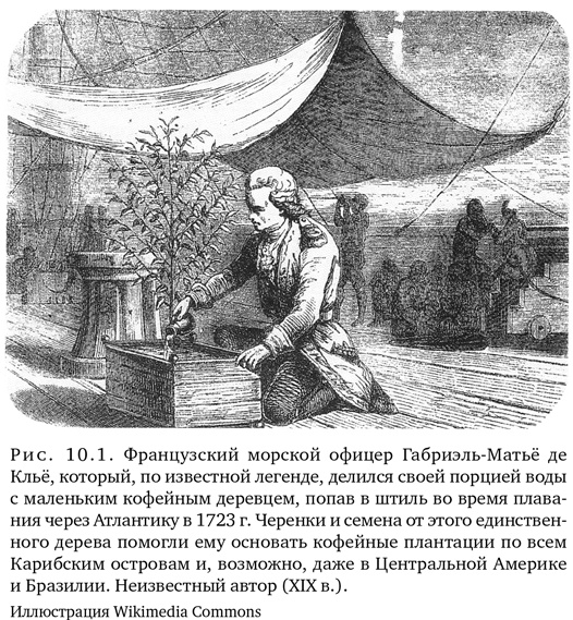 Иллюстрация к книге — Триумф семян [i_027.jpg]