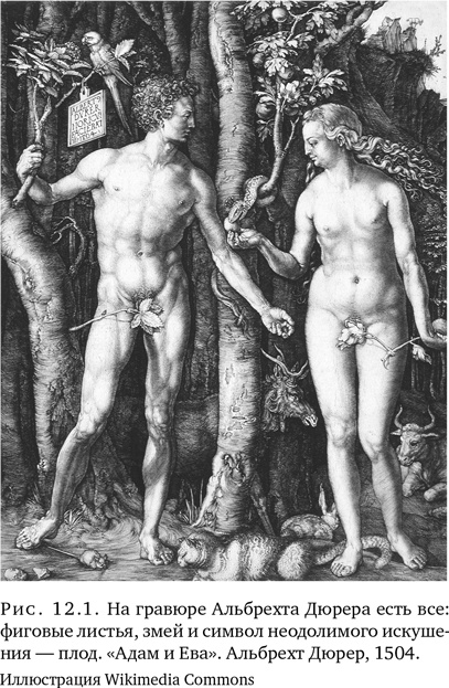 Иллюстрация к книге — Триумф семян [i_030.jpg]