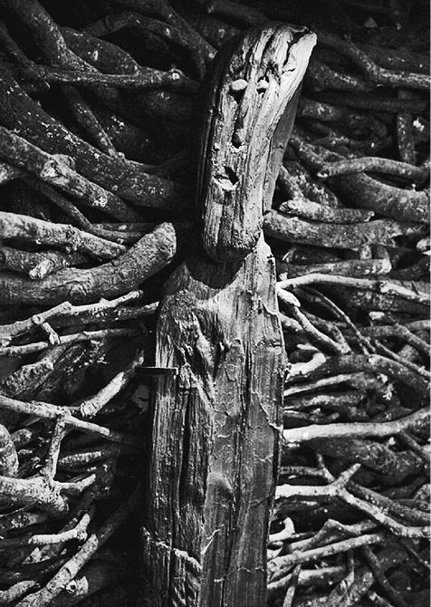 Иллюстрация к книге — Бог. История человечества [i_005.jpg]