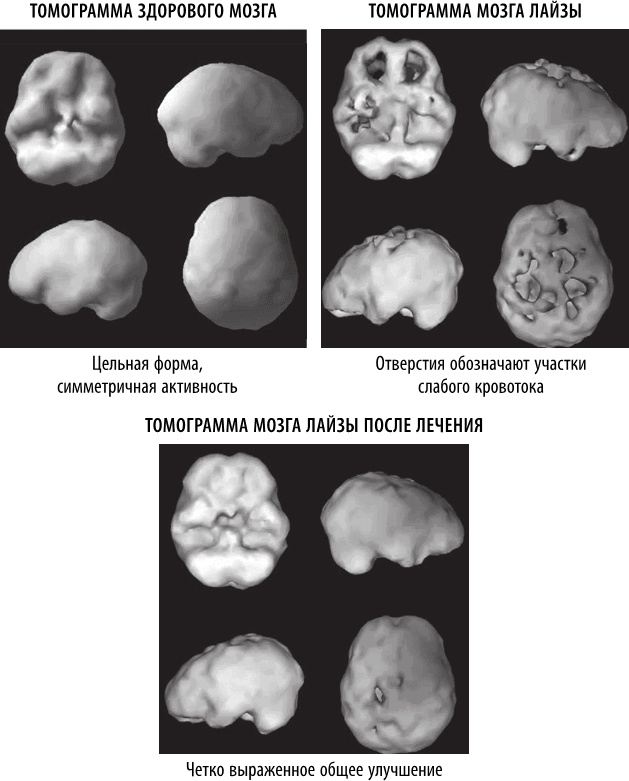 Иллюстрация к книге — Полюби свой мозг [i_001.jpg]