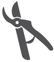 Иллюстрация к книге — Полюби свой мозг [i_013.jpg]