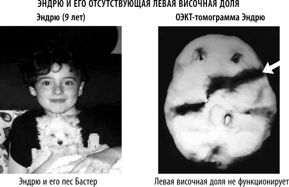 Иллюстрация к книге — Полюби свой мозг [i_055.jpg]