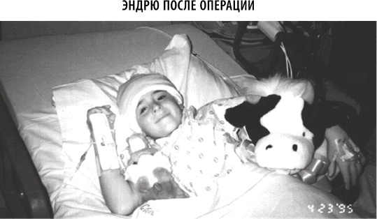 Иллюстрация к книге — Полюби свой мозг [i_056.jpg]