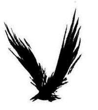 Иллюстрация к книге — Спасти Феникса [i_001.jpg]