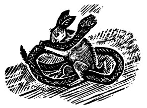 Иллюстрация к книге — Лира Белаква [i_025.jpg]