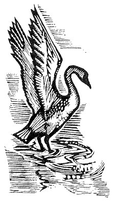 Иллюстрация к книге — Лира Белаква [i_045.jpg]