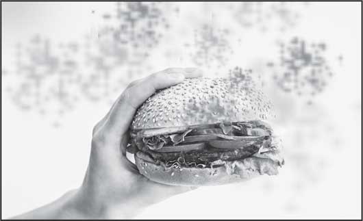 Иллюстрация к книге — Мозг. Как он устроен и что с ним делать [i_013.jpg]